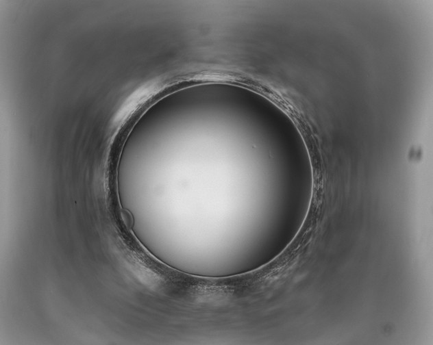 X0000090500296200707201553