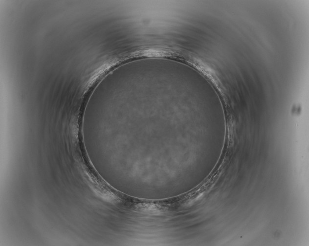 X0000090500297200707201553