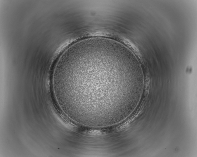 X0000090500298200707201553