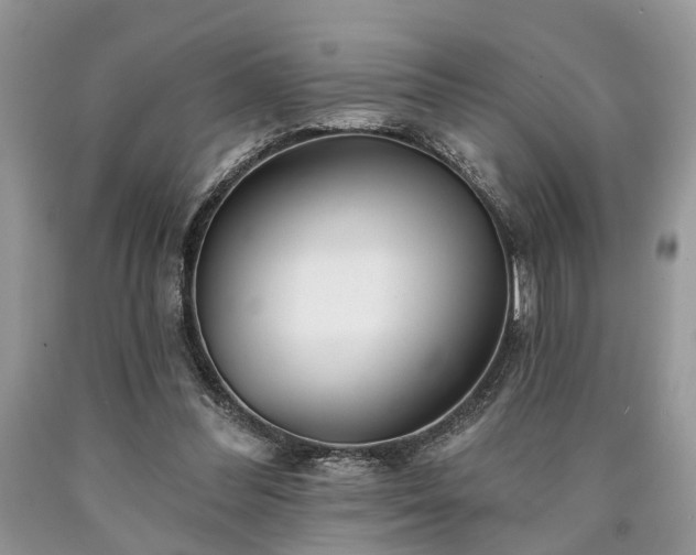 X0000090500300200707201552