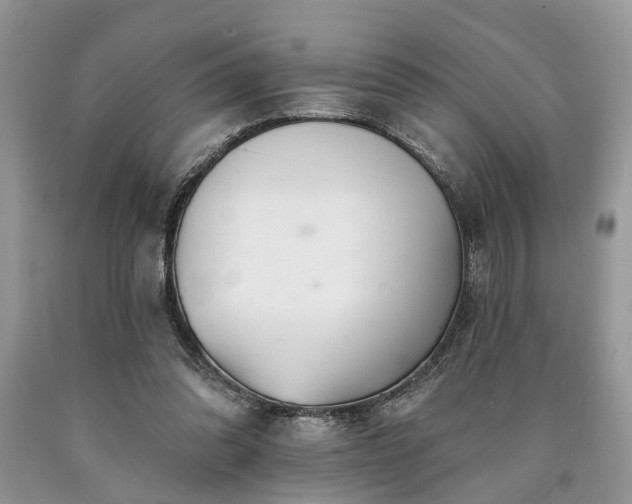 X0000090500302200707201552