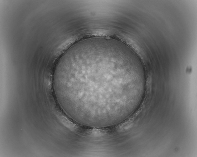 X0000090500305200707201552
