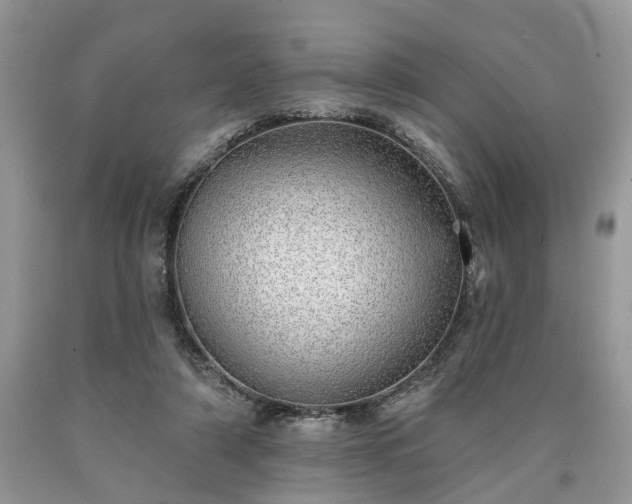 X0000090500306200707201552