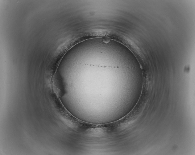 X0000090500307200707201552