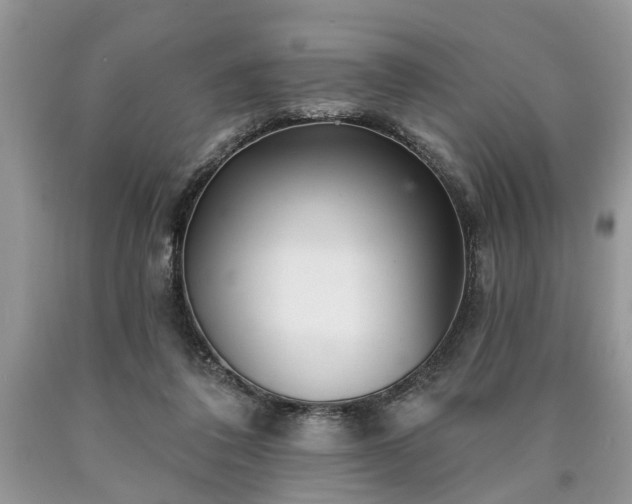 X0000090500308200707201552
