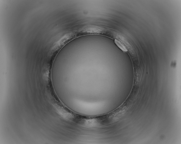 X0000090500309200707201552