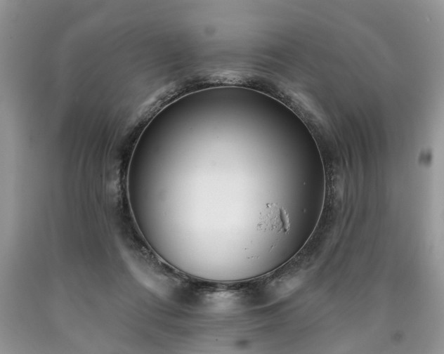 X0000090500312200707201552