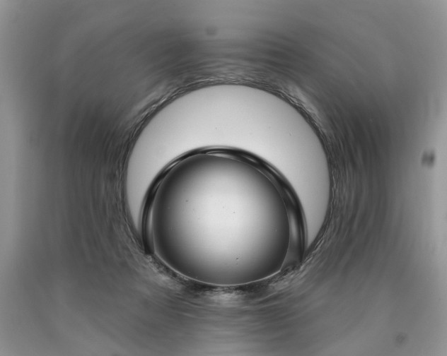 X0000090500313200707201552