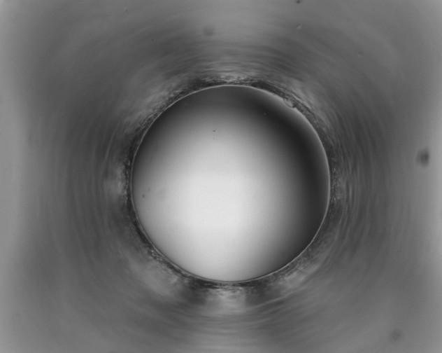 X0000090500317200707201552