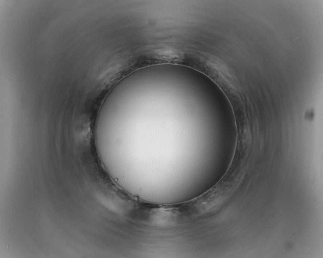 X0000090500320200707201552