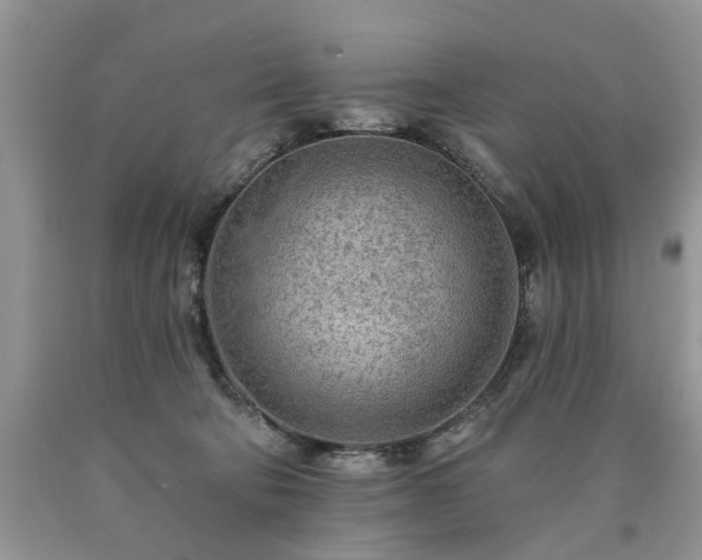 X0000090500322200707201552