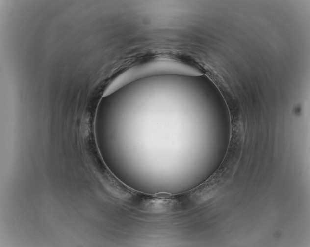 X0000090500323200707201552