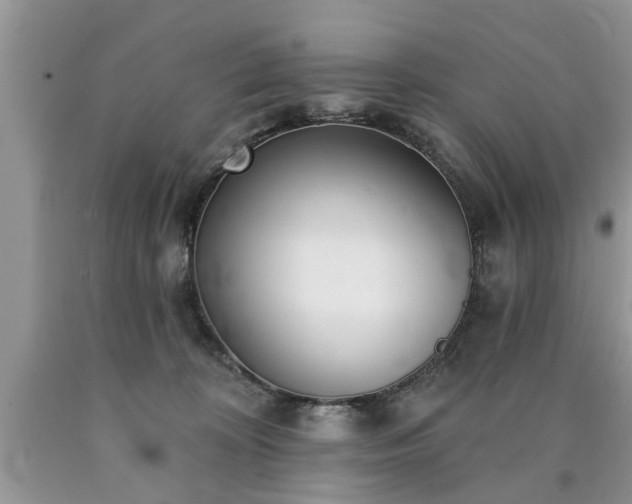 X0000090500324200707201552