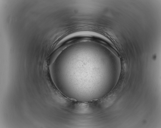 X0000090500325200707201552