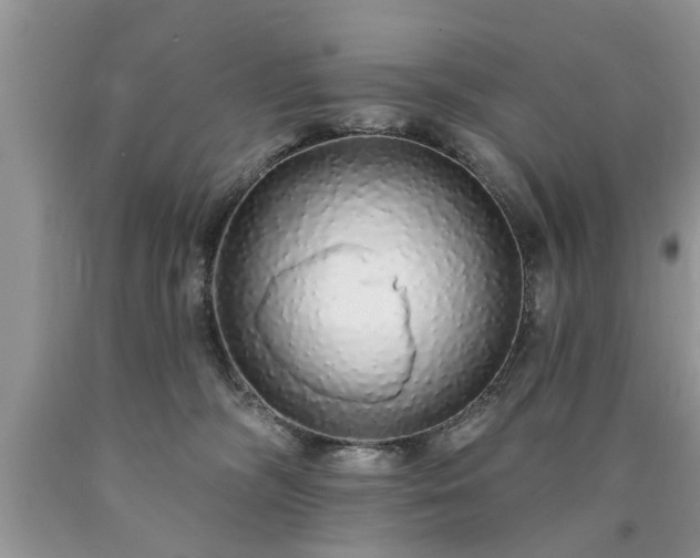 X0000090500326200707201552