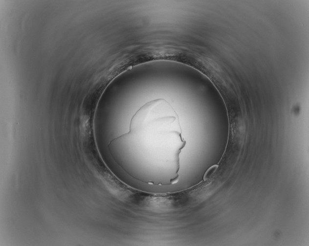 X0000090500327200707201552