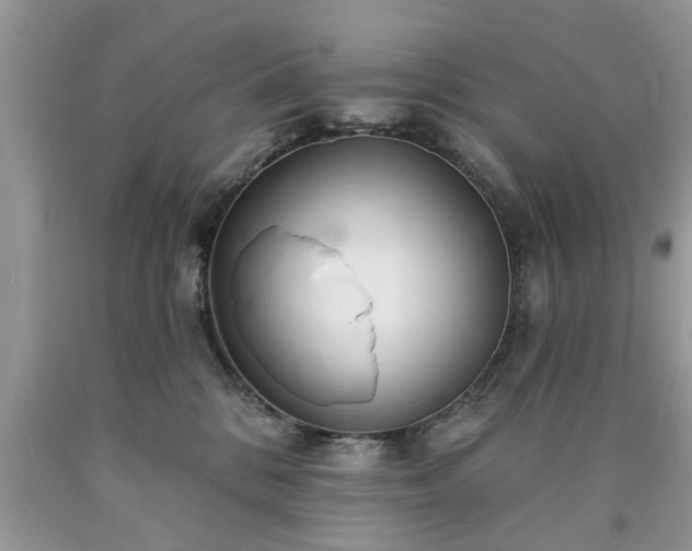 X0000090500328200707201552