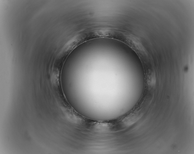 X0000090500332200707201552