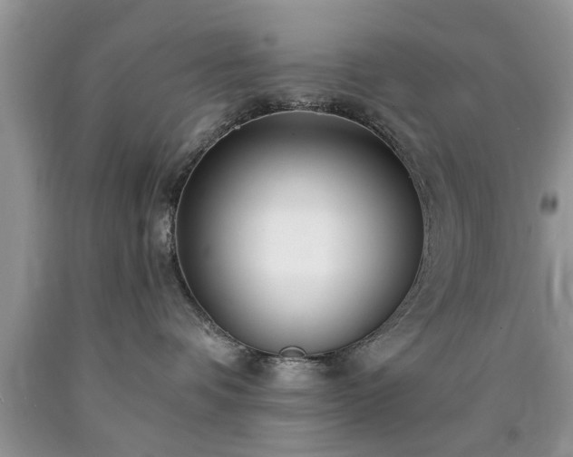 X0000090500336200707201552