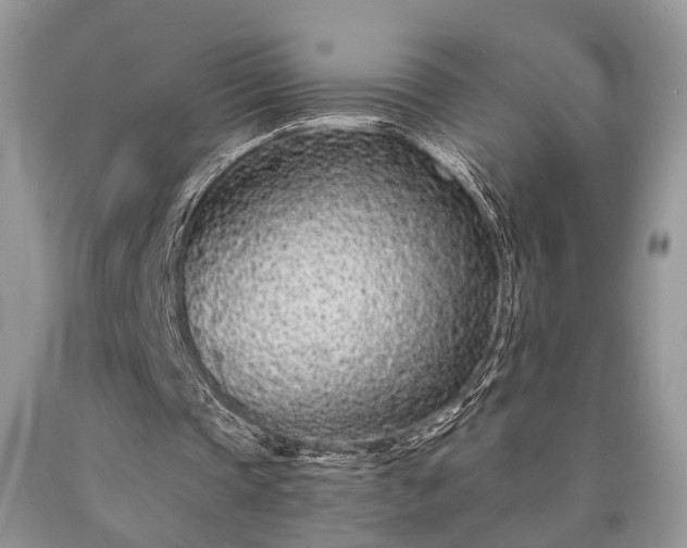X0000090500337200707201551