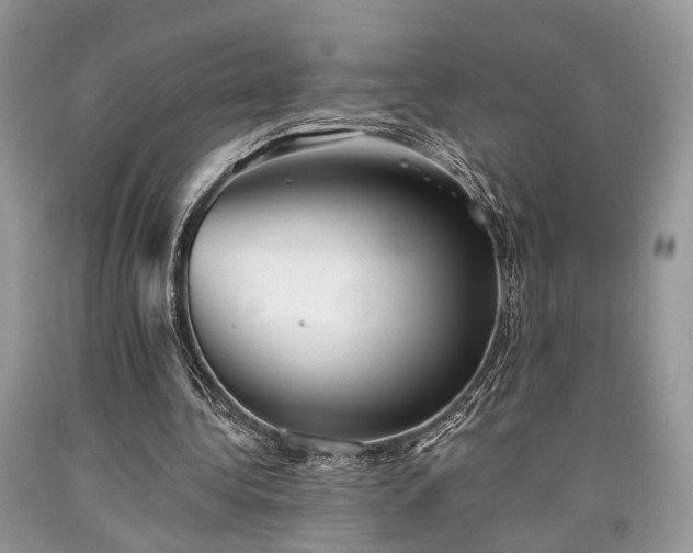 X0000090500340200707201551