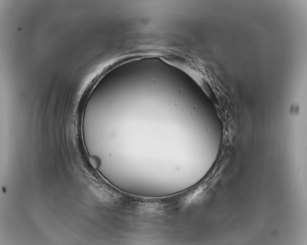 X0000090500342200707201551