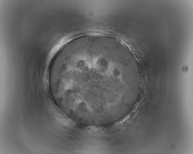 X0000090500343200707201552