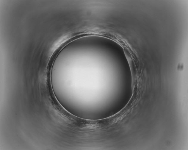 X0000090500344200707201552