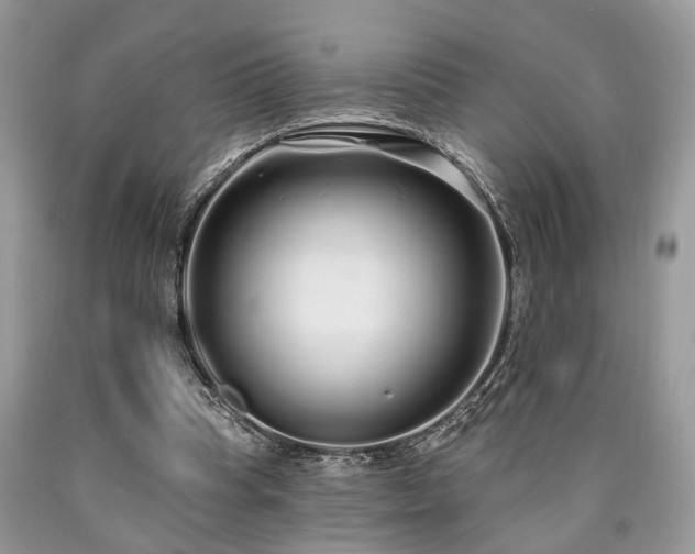 X0000090500345200707201552