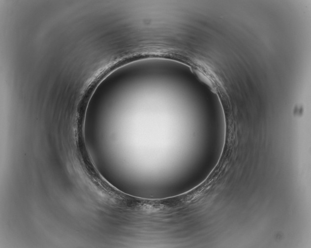 X0000090500346200707201552