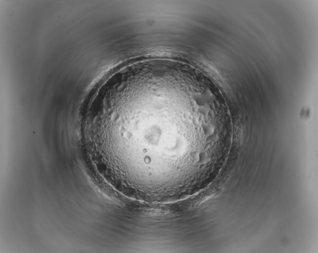X0000090500347200707201552