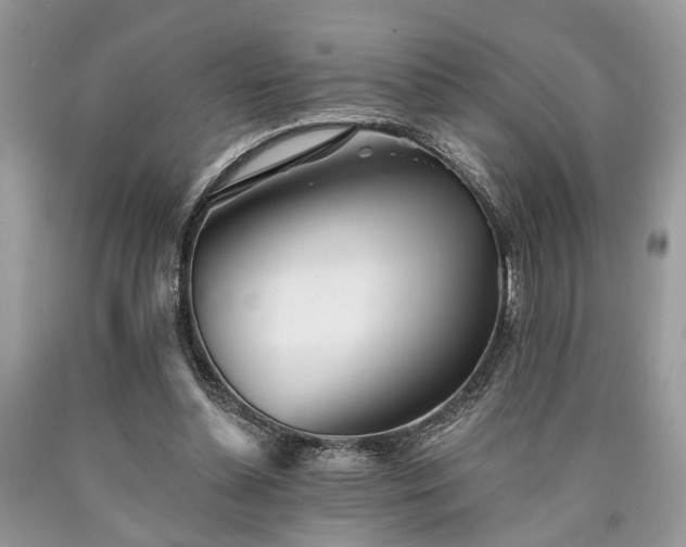 X0000090500348200707201552