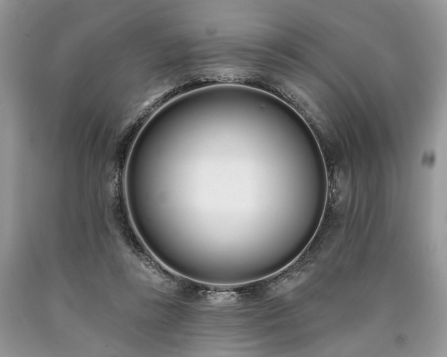 X0000090500355200707201552