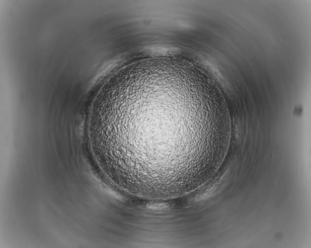 X0000090500357200707201552