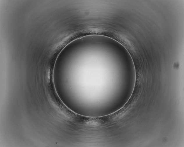 X0000090500358200707201552