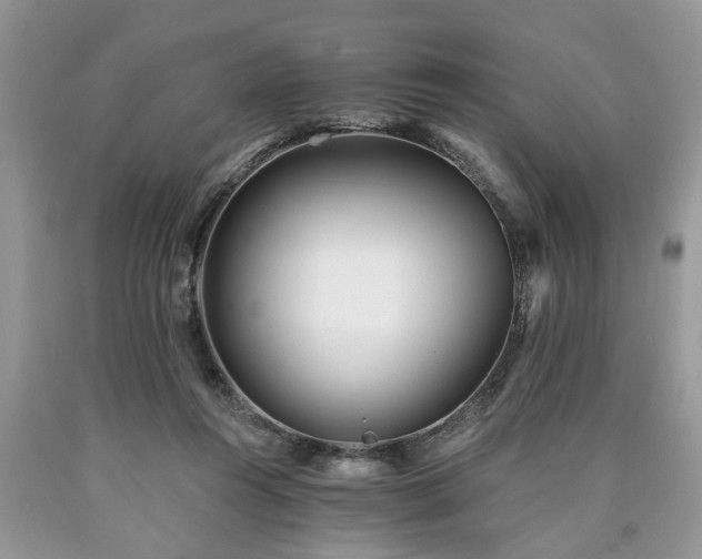 X0000090500360200707201552