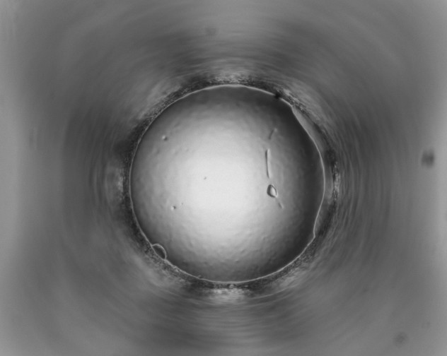 X0000090500363200707201552