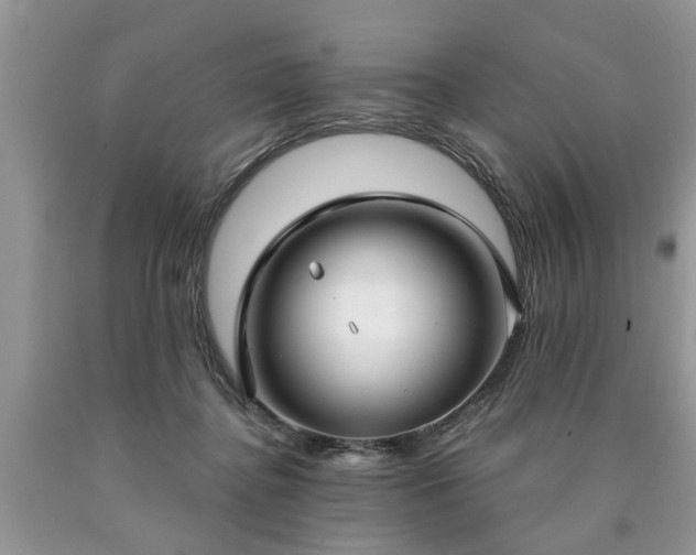 X0000090500364200707201552