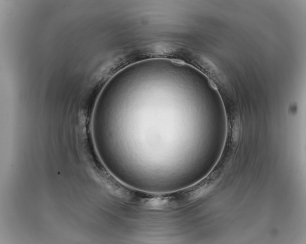 X0000090500366200707201552