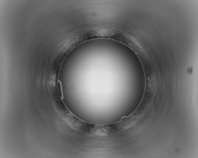 X0000090500368200707201552