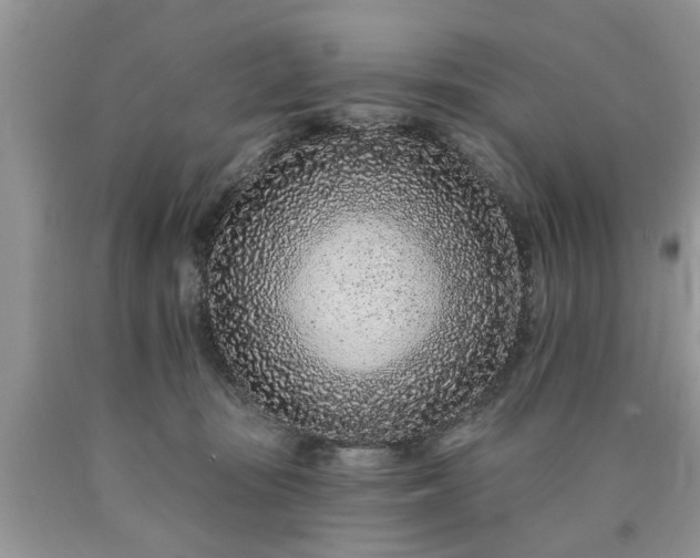 X0000090500371200707201552