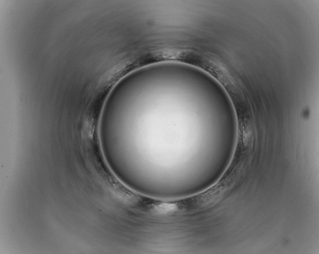 X0000090500374200707201552