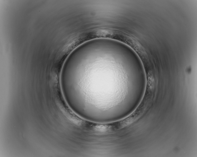 X0000090500375200707201552