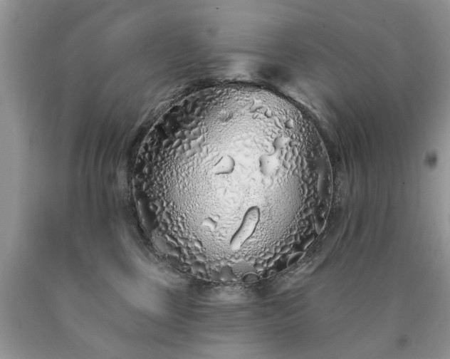 X0000090500377200707201552