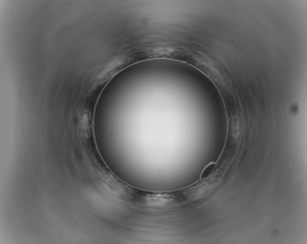 X0000090500378200707201552