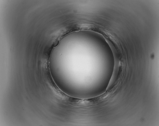 X0000090500379200707201552