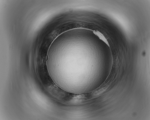 X0000090500382200707201552