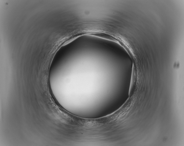 X0000090500385200707201551