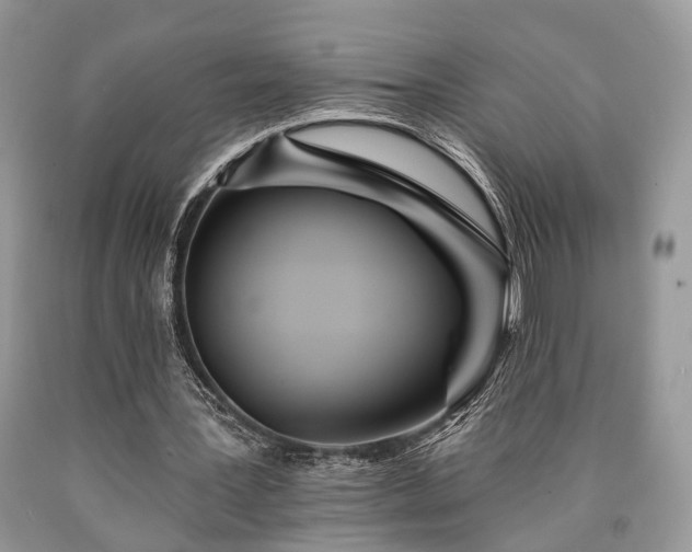 X0000090500387200707201551