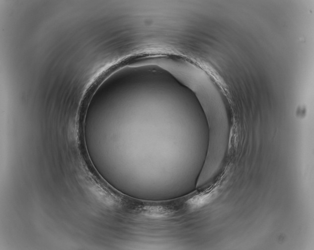 X0000090500391200707201551